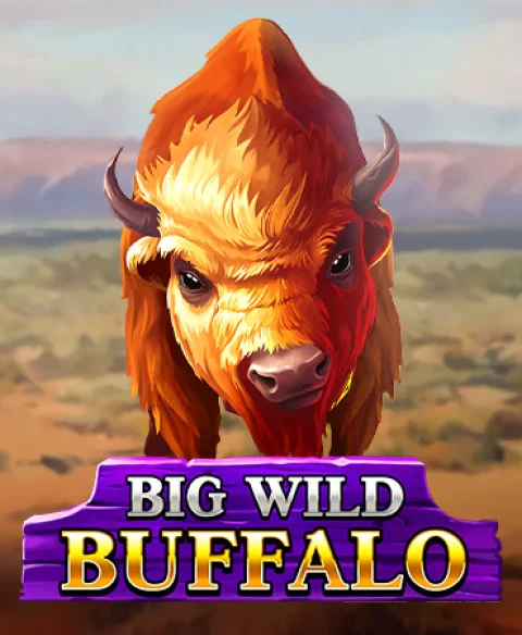 Play Big Wild Buffalo at Bet It On Casino
